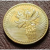 Колумбия 100 песо, 2024    ( 2-3-5 )