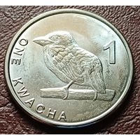 Замбия 1 квача, 2024    ( 2-9-7 )