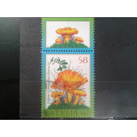 Латвия, 2007. Грибы с купоном. Mi-1,9 евро гаш.