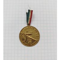 Франция. Медаль ПМВ "День 75, 1914-1915"