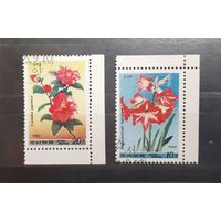 Корея. 1985 год. Флора. Цветы (262)