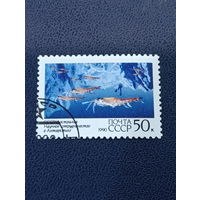 Научное сотрудничество с Австралией СССР 1990 год.