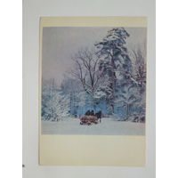 Гипенрейтер Беловежская пушча  1963  10х15 см открытка БССР