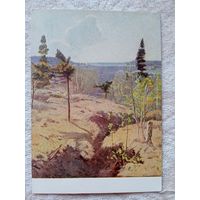 1955. Ткачев. Первая зелень