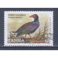 [881] Замбия 2001. Фауна.Птицы. Гашеная марка.