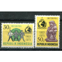 Индонезия - 1973г. - 50 лет Интерполу - 2 марки - полная серия, MNH, 1 марка с лёгким пожелтением клея [Mi 738-739]. #4-W1-Z-1-16