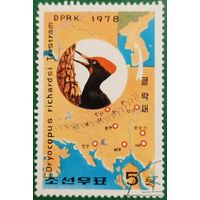 КНДР 1978. Птицы. Дятел
