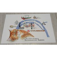 Посткроссинг. Открытка из серии "Коты", худ.М.Чурова (10х15). Прошла почту. Художественная марка.