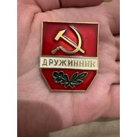 Дружинник значок