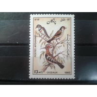 Афганистан, 1985. Птицы**