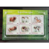 СЕРИЯ БЛОКОВ  СОБАКИ КОШКИ  фауна   MNH
