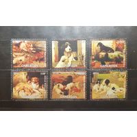 Камерун. 2016 год. Фауна. Собаки (1188)