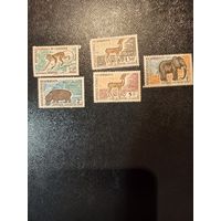 Животные Африки. Камерун. 1962