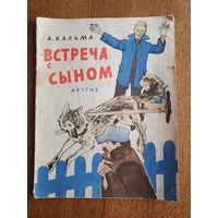 Книжка "Встреча с сыном"