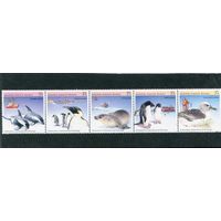 Австралийская Антарктида. Фауна. Охрана животного мира. Сцепка