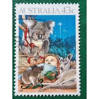 Австралия 1990. Рождество