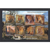 Кот-д"Ивуар 2003** Дикие кошки Африки без зубцов