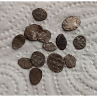 Чешуйки 13 шт