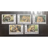 Того. 2000 год. Фауна. Дикие кошки (713)