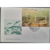 КПД. Редкие виды рыб водоемов Беларуси. 1997 г.