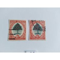 ЮАР  1933- 2м  апельс.дерево