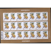 Лист марок Беларуси. Старт с копейки! Кабачёк