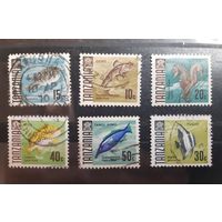 Танзания. 1967 год. Фауна. Рыбы (51)