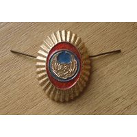 Кокарда охрана