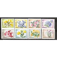 ФФ1 Монголия 1966 Цветы