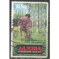 Замбия. Год окружающей среды. Посадка леса. 1972г. Mi#82.