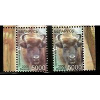 Беларусь. 2008. Фауна Стандарт. Европейский зубр (5000р) мел + офсет **