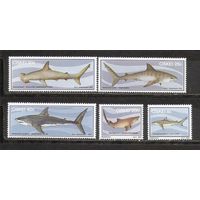 ФФ1 Сискей 1983 Акулы