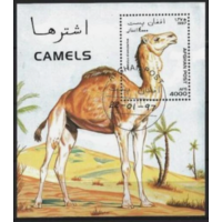 Афганистан 1997 фауна верблюды