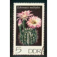 ГЕРМАНИЯ, ГДР - 1974 [Mi. 1922] Гашеная (DDR06)