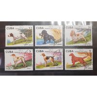 Куба. 1976. Фауна. Собаки (653)