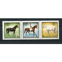 Венгрия - 1989 - Лошади - сцепка - [Mi. 4015-4017] - полная серия - 3 марки. MNH.  (Лот 75HH)-T41P37