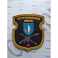 Шеврон Территориальные войска Столин