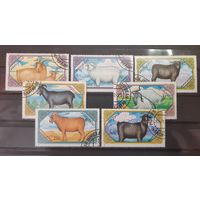 Распродажа с 1 рубля! Фауна. Монголия. 1988 год. Козы (5 марок)