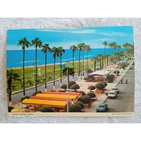 Кипр, Ларнака