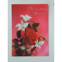 Финляндия цветы 1992  10х15 см