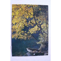 Природа; подписана, Германия, п/п 1988, марка.