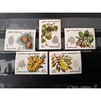 СССР. 1980г. Флора. Охраняемые породы деревьев и кустарников.