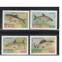Беларусь-1997(Мих.217-220) , ** , Рыбы