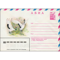Художественный маркированный конверт СССР N 13516 (11.05.1979) АВИА  Японский журавль
