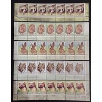 Марки Беларуси 2008, Одиннадцатый стандарт в нижних сцепках, заказы подряд, КМ 733 - 737, 101 - 2009 / 105 - 2009, каталог 31,6 евро