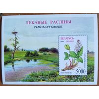 Беларусь 1996. Лекарственные растения. Блок