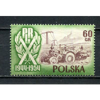 Польша - 1954 - 10-летие Польской республики 60Gr - [Mi.878] - 1 марка. MNH.  (Лот 89HU)-TG3P21