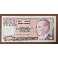 Банкнота 100 лир 2006 год. Турция. Мустафа Кемаль Ататюрк