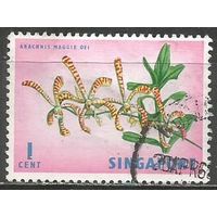 Сингапур. Растение. Вандопсис. 1963г. Mi#53.