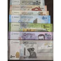 Сирия сет банкнот 50,100,200,500,1000,2000,5000 фунтов UNC